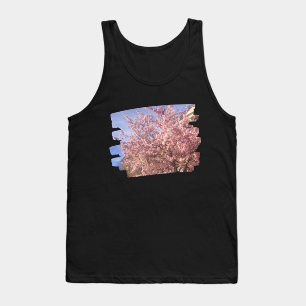 Photo flowers cherry blossom in DC dc statehood simple pink Tank Top by BoogieCreates